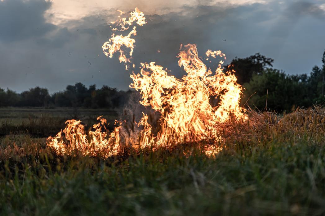 2. Incendii de vegetatie - foc, iarba, camp