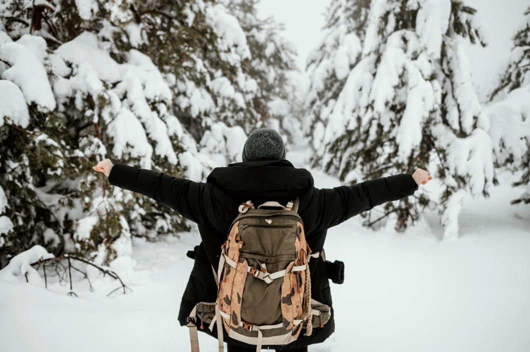 4. Avalansa - barbat, brazi, zapada