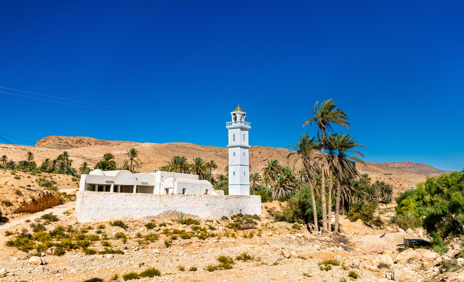 2. sfaturi pentru calatorie in tunisia - moschee, copaci