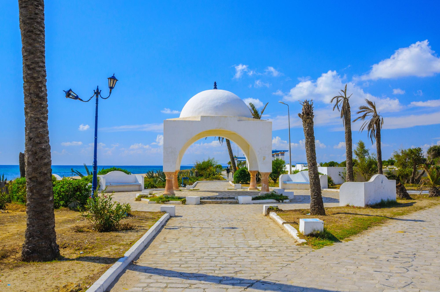 8. sfaturi pentru calatorie in tunisia - strada, copaci, arcada