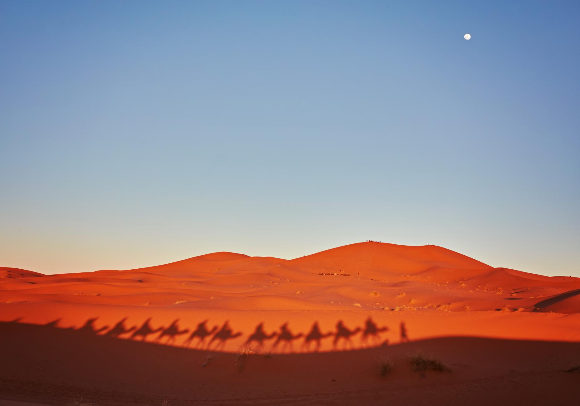 10. Cultura maroc - dune, camile, cer
